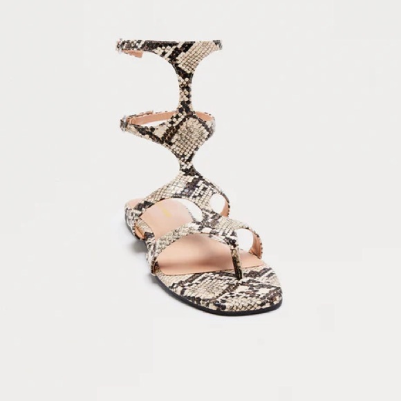 Snake Print Gladiator Sandals - Picture 2 of 7
